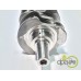 ARBORE MOTOR