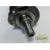 ARBORE MOTOR