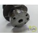 ARBORE MOTOR