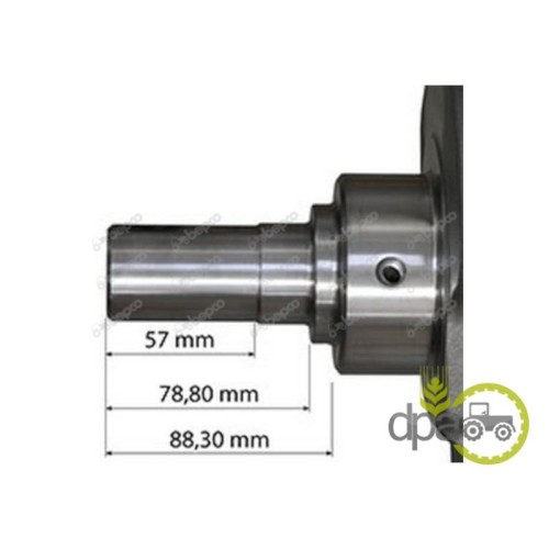 ARBORE MOTOR