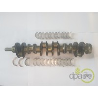 ARBORE MOTOR