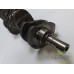 ARBORE MOTOR