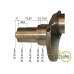 ARBORE MOTOR