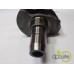 ARBORE MOTOR