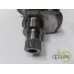 ARBORE MOTOR