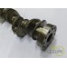 ARBORE MOTOR