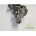ARBORE MOTOR
