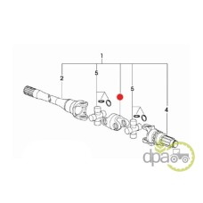 ARTICULATIE PLANETARA