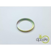 BUCSA PIVOT