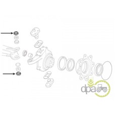 CAPAC RULMENT PIVOT