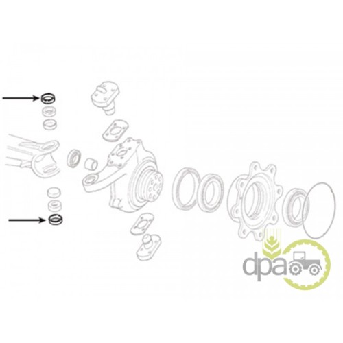 CAPAC RULMENT PIVOT
