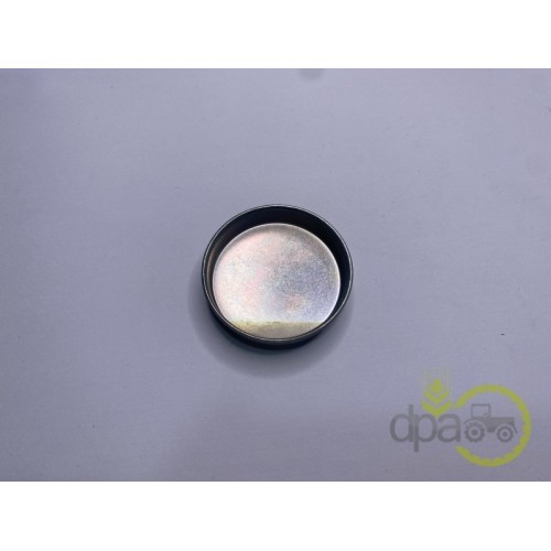 CAPAC RULMENT PIVOT
