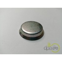 CAPAC RULMENT PIVOT