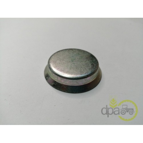 CAPAC RULMENT PIVOT