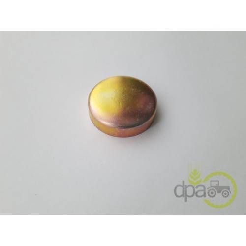 CAPAC RULMENT PIVOT