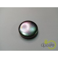 CAPAC RULMENT PIVOT