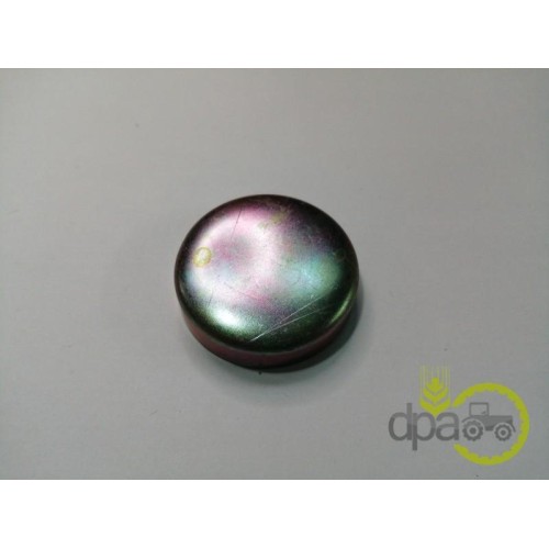 CAPAC RULMENT PIVOT