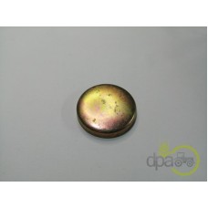 CAPAC RULMENT PIVOT
