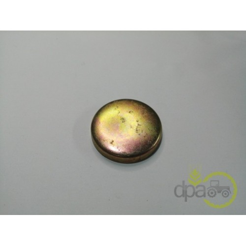 CAPAC RULMENT PIVOT