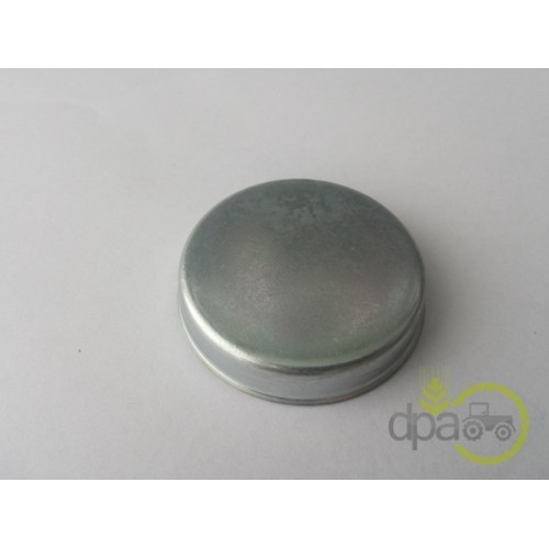 CAPAC RULMENT PIVOT