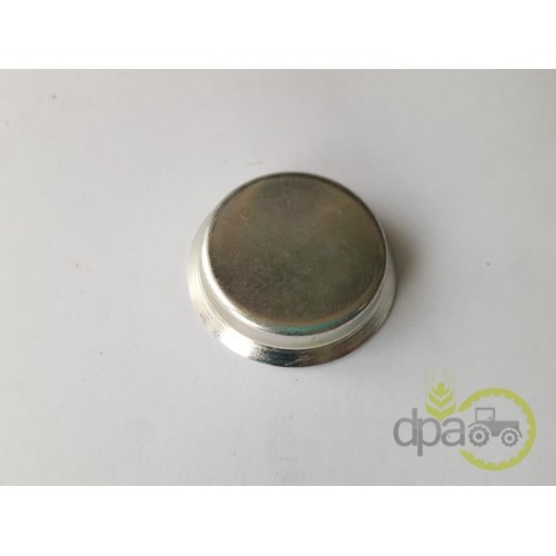 CAPAC RULMENT PIVOT