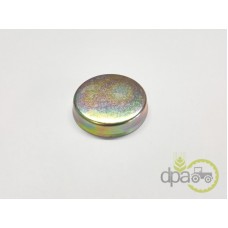 CAPAC RULMENT PIVOT