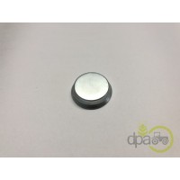 CAPAC RULMENT PIVOT