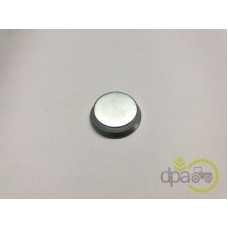 CAPAC RULMENT PIVOT