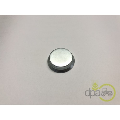 CAPAC RULMENT PIVOT