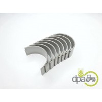 CUZINETI BIELA PERECHE R1