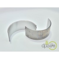 CUZINETI BIELA PERECHE R1