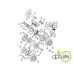 DISC FRANA INTERMEDIAR