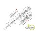 DISC INTERMEDIAR