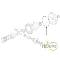 GARNITURA CARCASA DIFERENTIAL SPATE