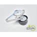 INTINZATOR CUREA