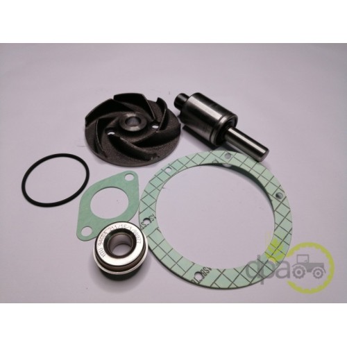 KIT REPARATIE POMPA APA