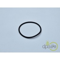 ORING 48.90X2.62