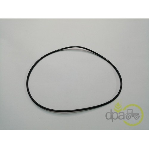 ORING CARCASA DIFERENTIAL FATA
