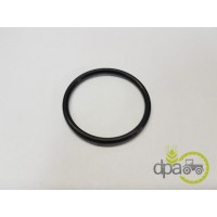 ORING PIVOT