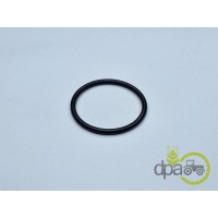 ORING PIVOT