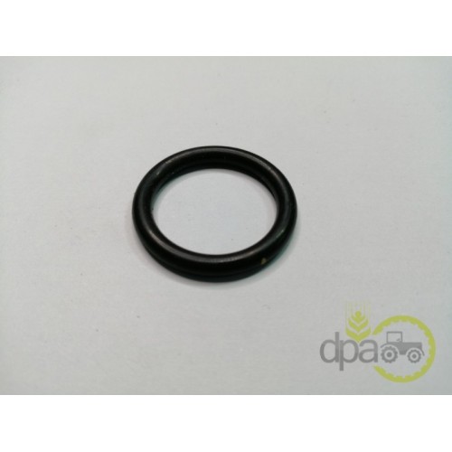 ORING POMPA FRANA