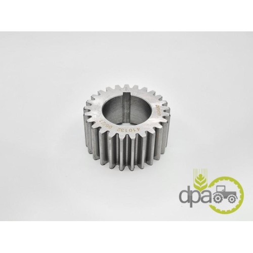 PINION ARBORE MOTOR