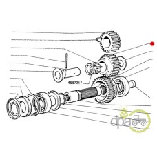 PINION CUPLARE PUNTE FATA