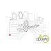 PINION DISTRIBUTIE