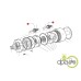 PINION REDUCTOR