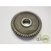 PINION VITEZA 1