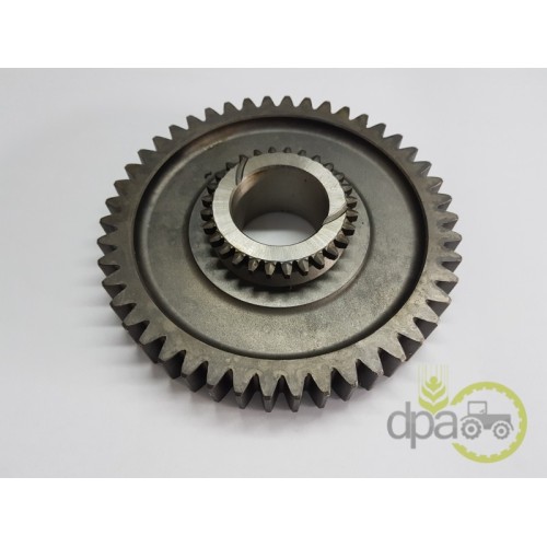 PINION VITEZA 1