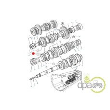 PINION VITEZA 1 Z19