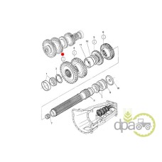 PINION VITEZA 1 Z41
