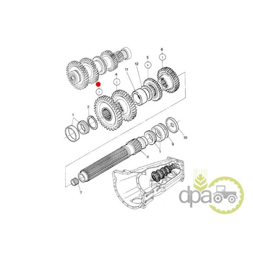 PINION VITEZA 1 Z41
